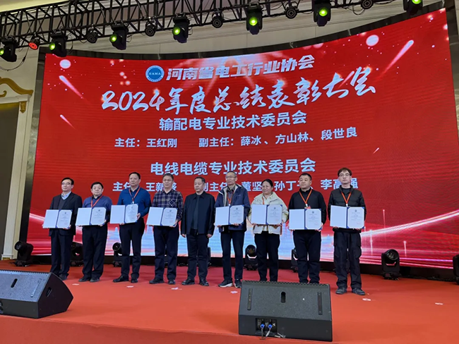 索凌電氣榮獲河南省電工行業(yè)雙優(yōu)稱號(hào)， 持續(xù)助力電力行業(yè)發(fā)展